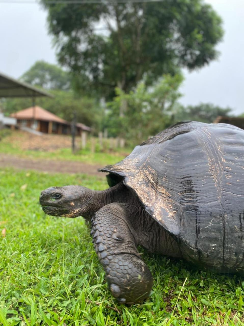 Galapagos Cabanas Eden Bellavista  Ngoại thất bức ảnh