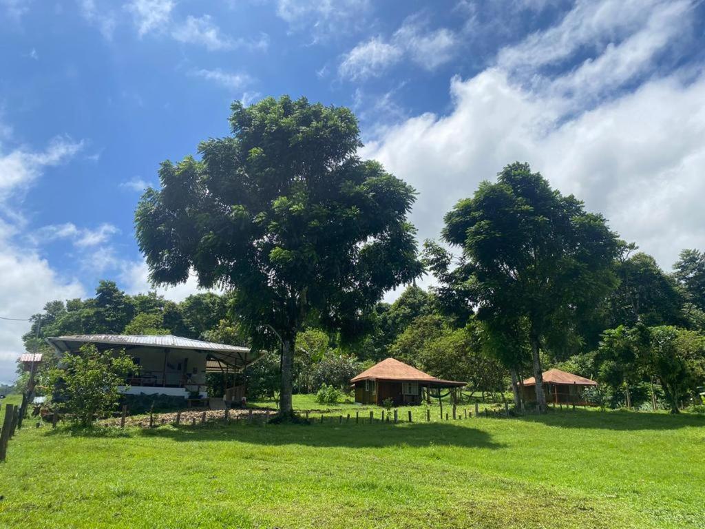 Galapagos Cabanas Eden Bellavista  Ngoại thất bức ảnh
